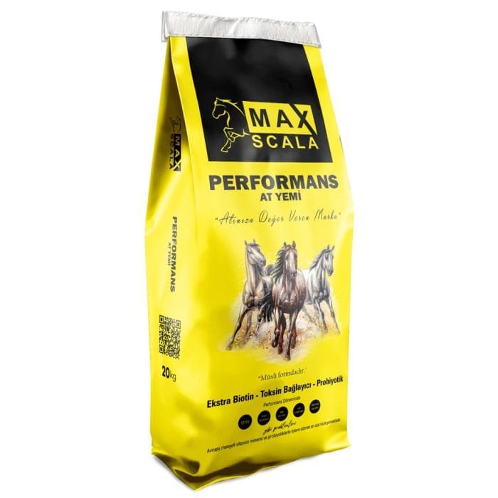 Performans Yemi Performans At Yemi - Görsel 1