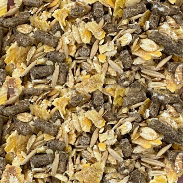 Mix 16 At Yemi - Görsel 2