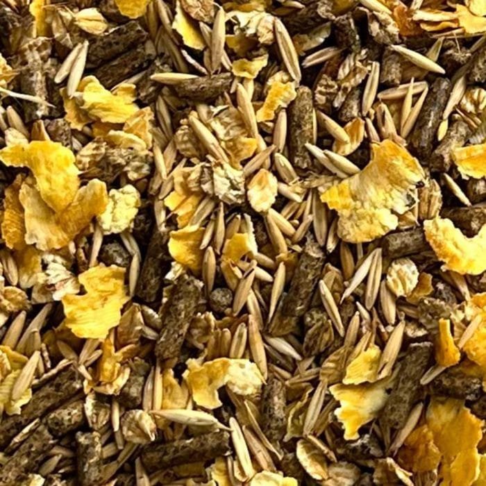 Performans At Yemi - Görsel 2