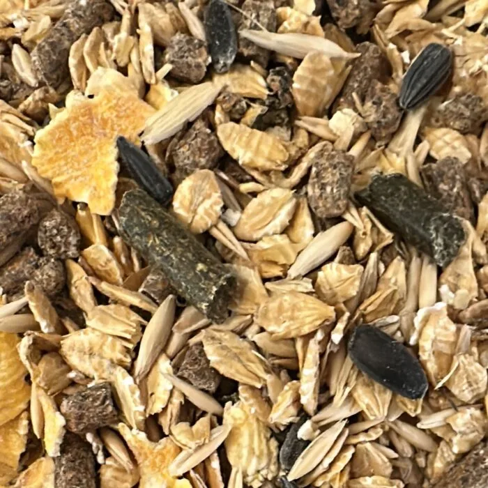 konkur at yemi