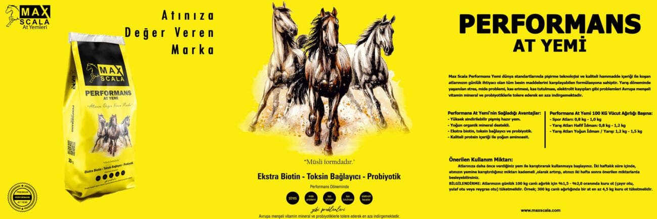 Performans At Yemi Çalışması