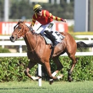 99. gazi koşusu 2025