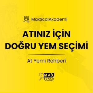 Atiniz-Icin-Dogru-Yem-Secimi-At-Yemi-Rehberi