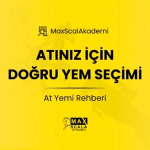Atiniz-Icin-Dogru-Yem-Secimi-At-Yemi-Rehberi