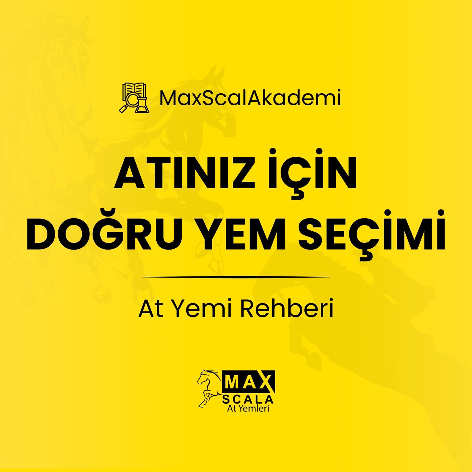 Atiniz-Icin-Dogru-Yem-Secimi-At-Yemi-Rehberi
