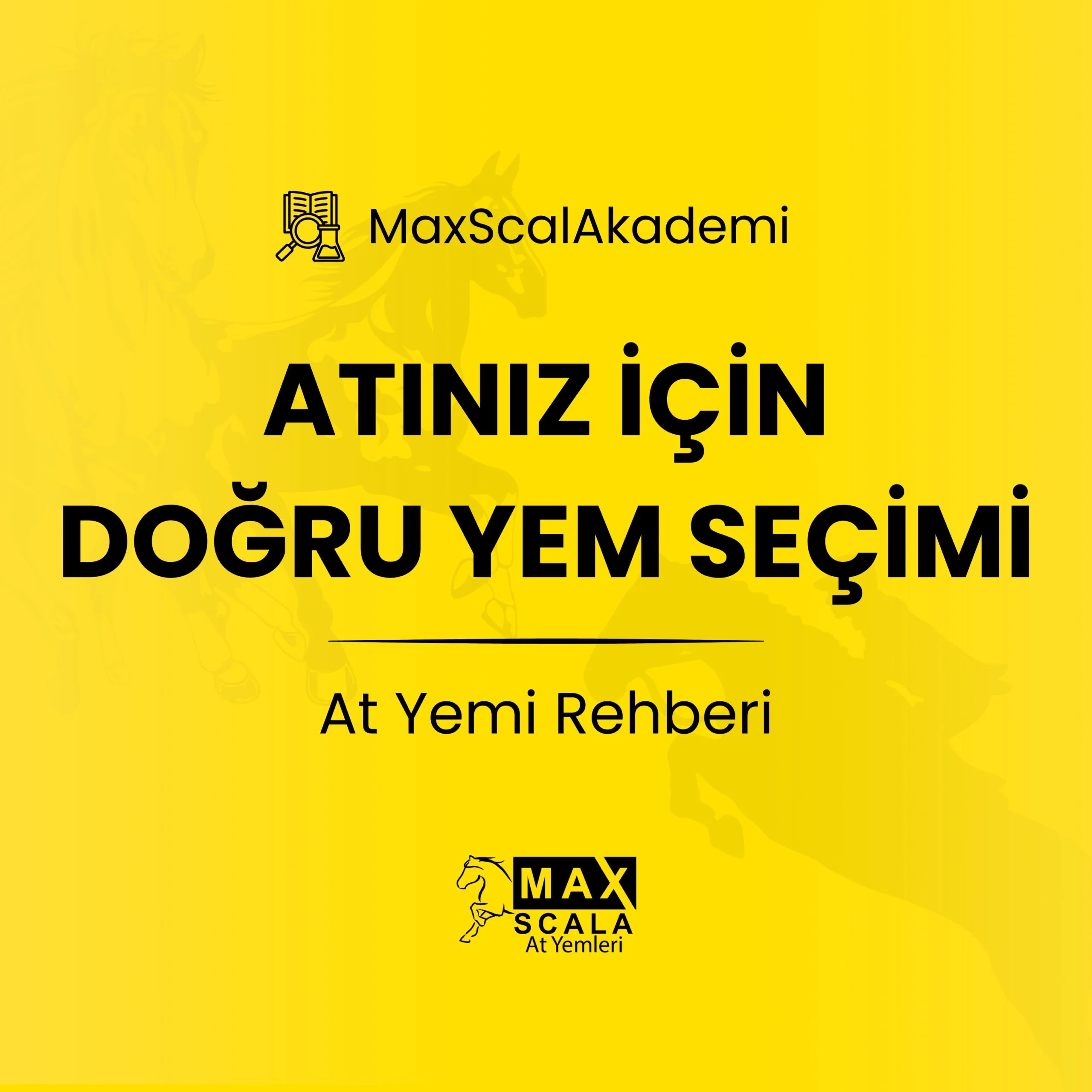Atiniz-Icin-Dogru-Yem-Secimi-At-Yemi-Rehberi